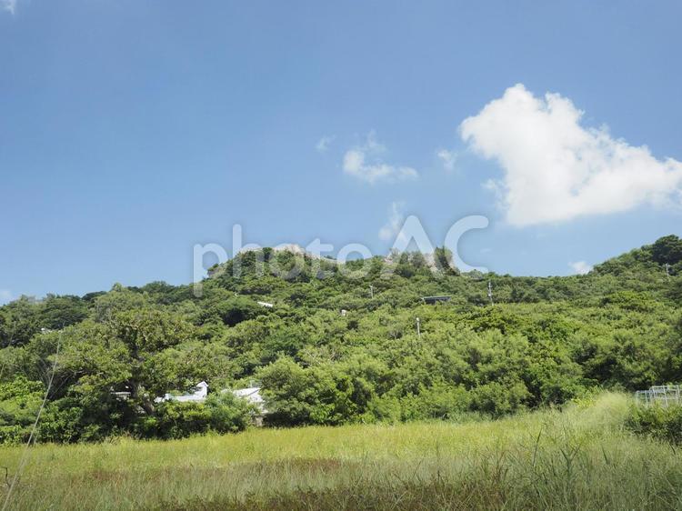 勝連城跡(沖縄県うるま市勝連南風原)
