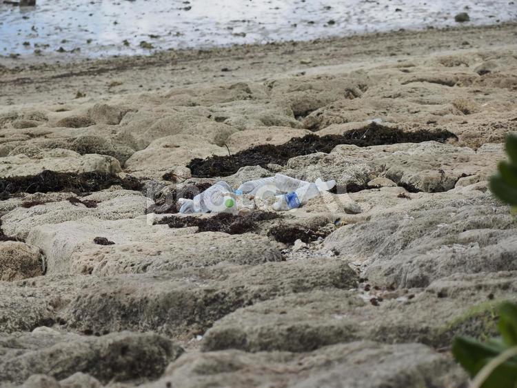 集めた海ごみ（沖縄県沖縄市比屋根）