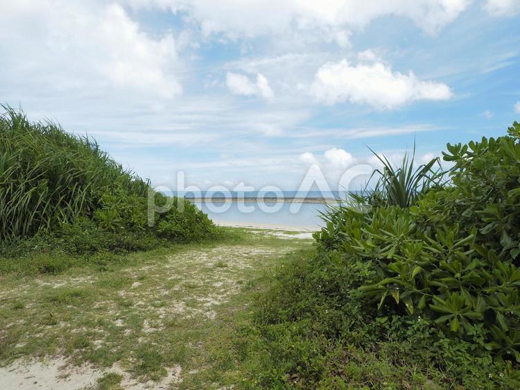 吉の浦公園ビーチ（沖縄県中頭郡中城村）