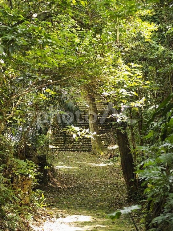林道_末吉公園（沖縄県那覇市首里）