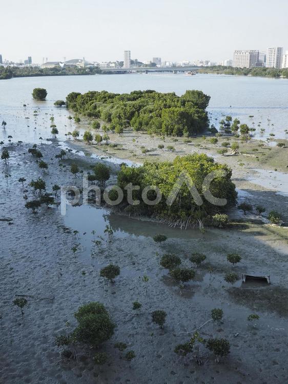 漫湖（那覇市鏡原）