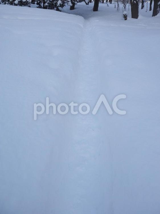 雪道（中島公園、北海道札幌市）