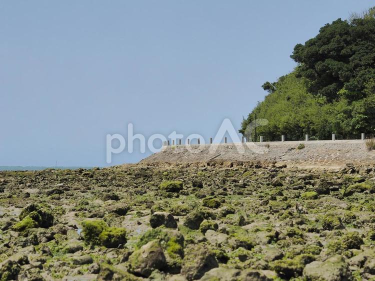 瀬長島の干潟と道路（沖縄県豊見城市瀬長）