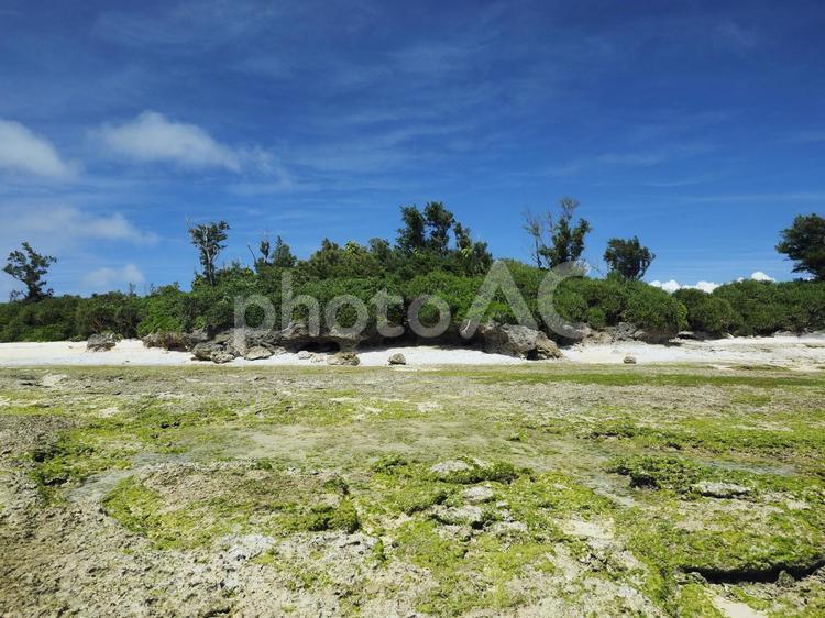 ハンジャパーマ（沖縄県中頭郡読谷村）