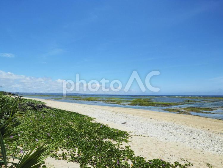 もめんばるビーチ（沖縄県中頭郡読谷村）