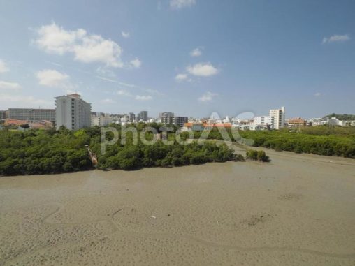 漫湖の干潟、引潮時（沖縄県豊見城市豊見城）