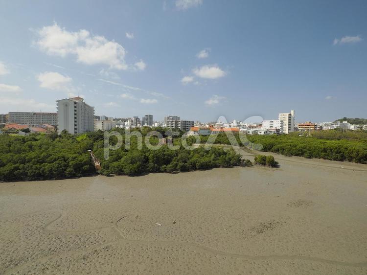 漫湖の干潟、引潮時（沖縄県豊見城市豊見城）