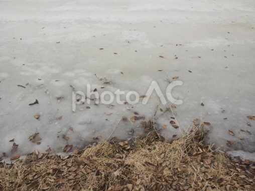 大沼国定公園、凍った湖（北海道大沼市）