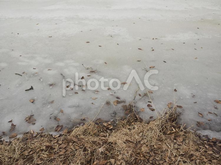 大沼国定公園、凍った湖（北海道大沼市）