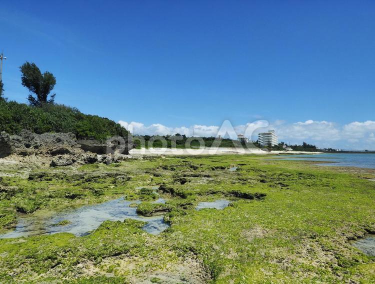 ハンジャパーマ（沖縄県中頭郡読谷村）