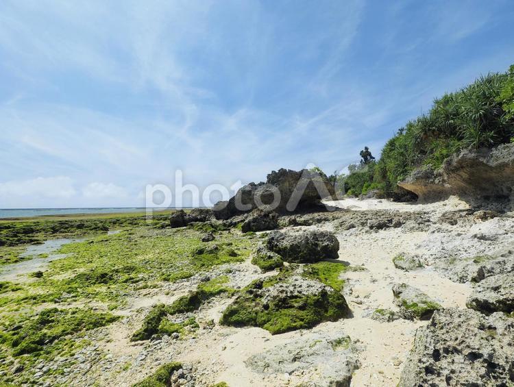 ハンジャパーマ（沖縄県中頭郡読谷村）