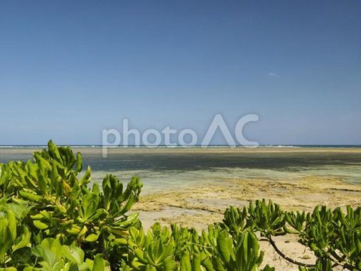 沖縄県浦添西海岸（沖縄県浦添市西洲）
