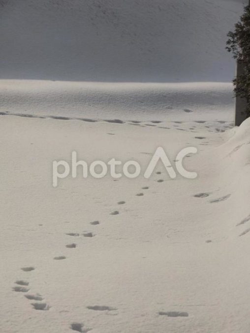 雪面と足跡（北海道札幌）