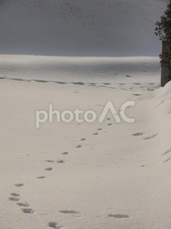 雪面と足跡（北海道札幌）