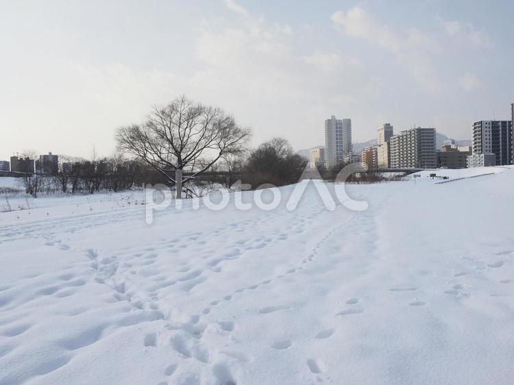 真冬で積雪の豊平川沿い（北海道札幌市）
