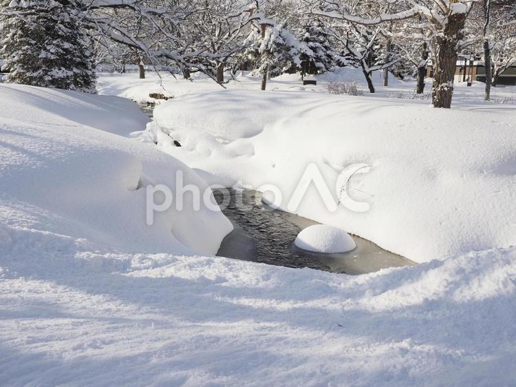 雪が積もった川(中島公園、北海道札幌市）
