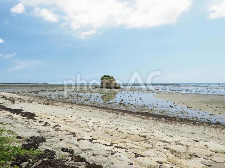 沖縄県総合運動公園前のビーチ（沖縄県沖縄市比屋根）