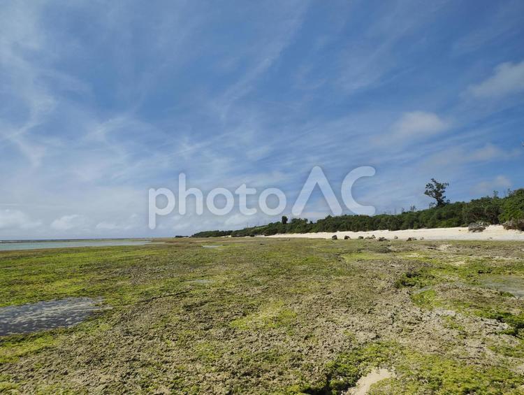 ハンジャパーマ（沖縄県中頭郡読谷村）