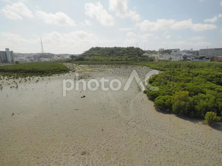 漫湖の干潟、引潮時（沖縄県豊見城市豊見城）