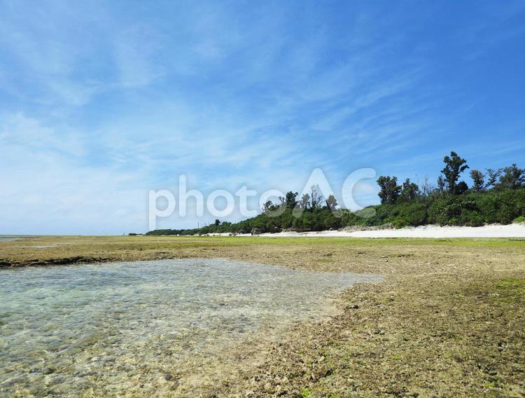 ハンジャパーマ（沖縄県中頭郡読谷村）