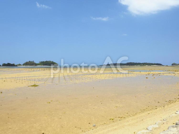 干潟とヨー島(沖縄県恩納村恩納)