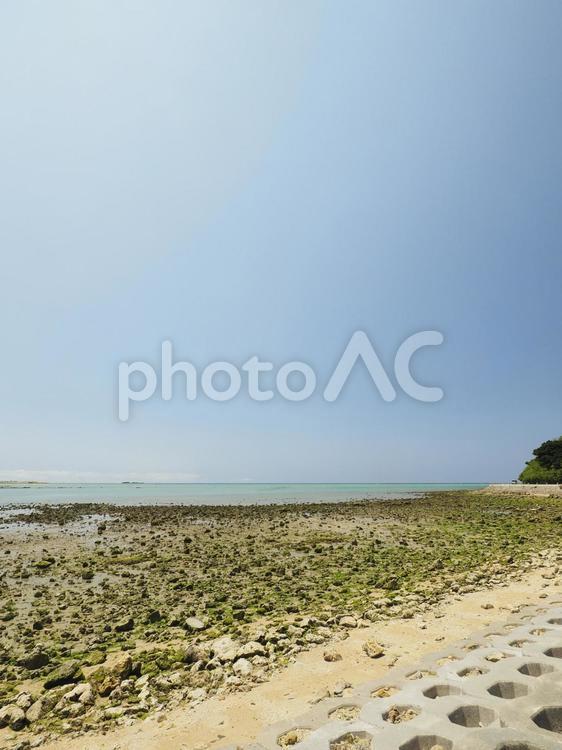 瀬長島の干潟（沖縄県那覇市瀬長）