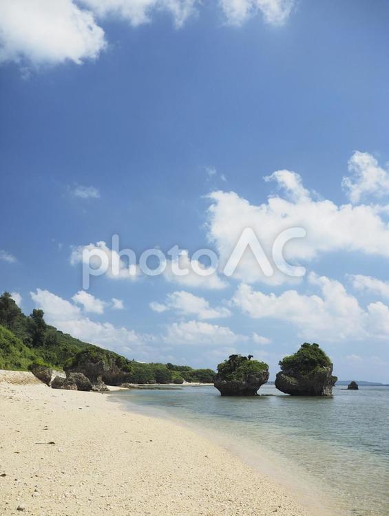 ビーチコーミング（沖縄県うるま市勝連平安名）