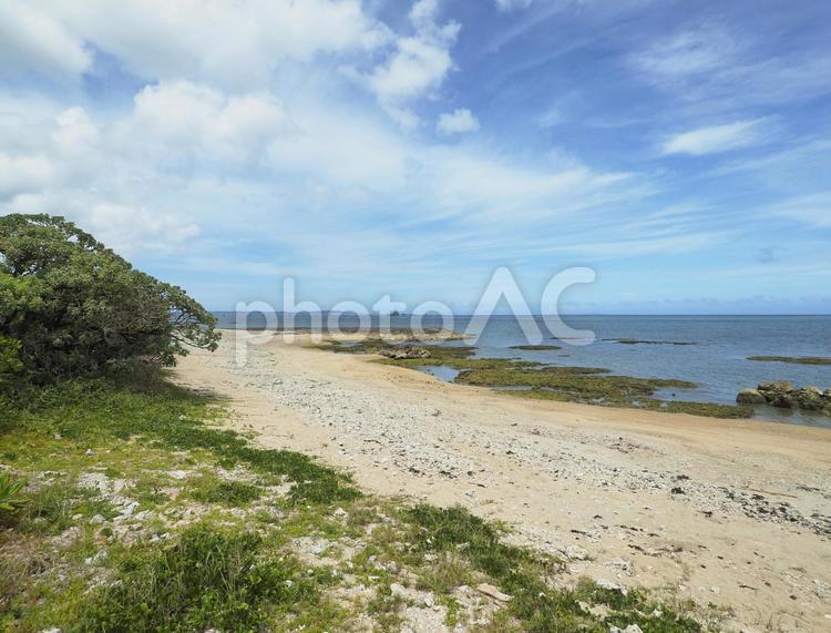 吉の浦公園ビーチ（沖縄県中頭郡中城村）