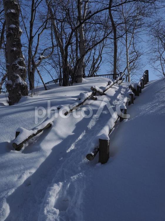 積雪の公園の階段（北海道札幌市）