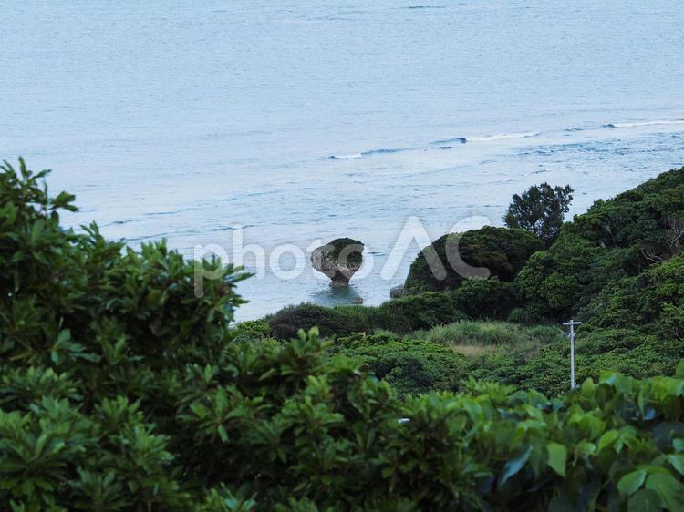 知念岬のキノコ岩（沖縄県南城市知念）