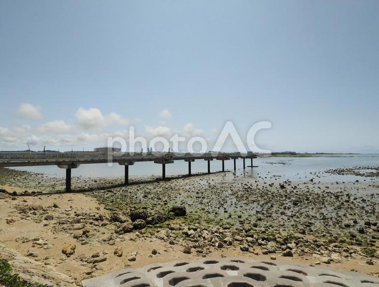 瀬長島の干潟（沖縄県那覇市瀬長）
