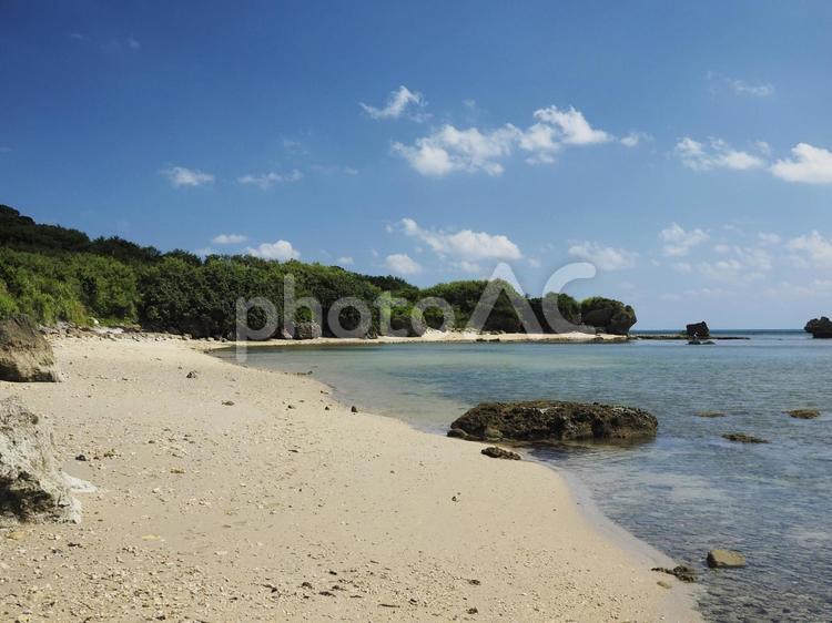 ビーチコーミング（沖縄県うるま市勝連平安名）
