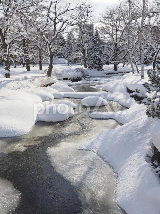 雪が積もった川(中島公園、北海道札幌市）
