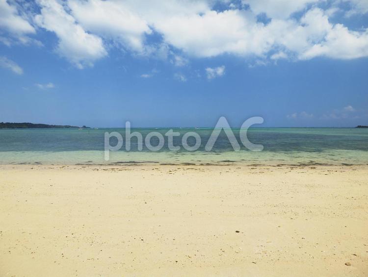 仲泊海岸(沖縄県恩納村仲泊)