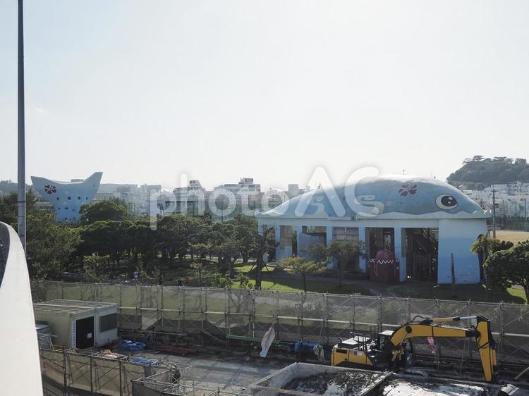 くじら（那覇市鏡原、漫湖公園）