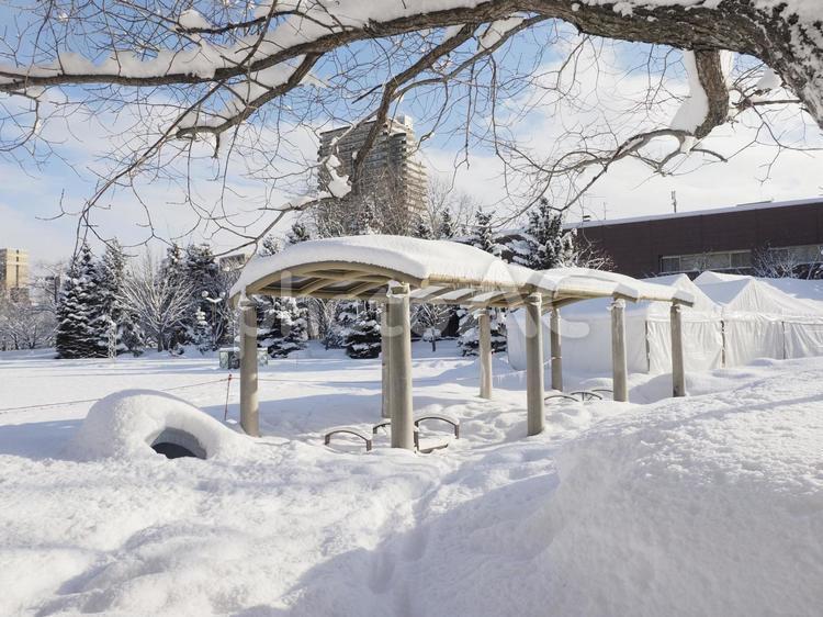 雪積の冬風景(中島公園、北海道札幌市）