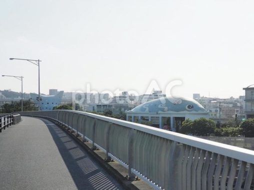 くじら（那覇市鏡原、漫湖公園）