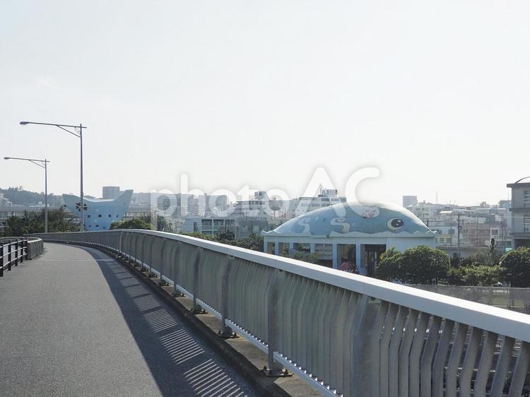 くじら（那覇市鏡原、漫湖公園）