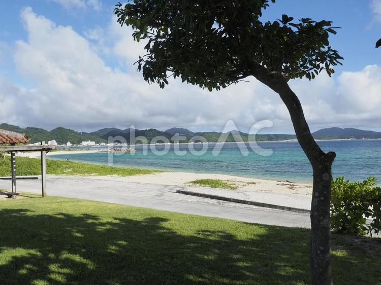 21世紀の森ビーチ(沖縄県名護市)