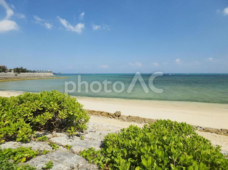 仲泊海岸(沖縄県恩納村仲泊)