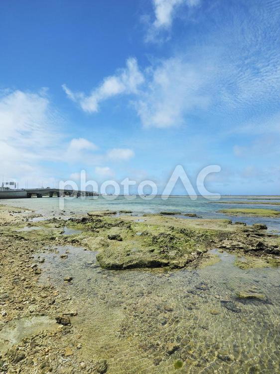 浦添西海岸（沖縄県浦添市港川）