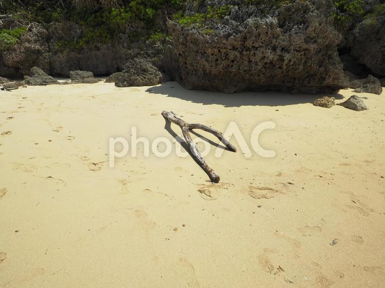 砂浜と木の枝_瀬良垣の浜(沖縄県恩納村瀬良垣)