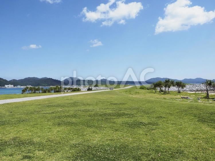 21世紀の森公園の緑地（沖縄県名護市）