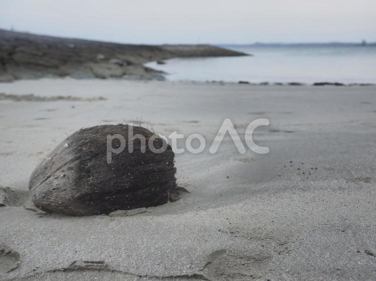 日暮れのビーチとヤシの実（沖縄県金武町）