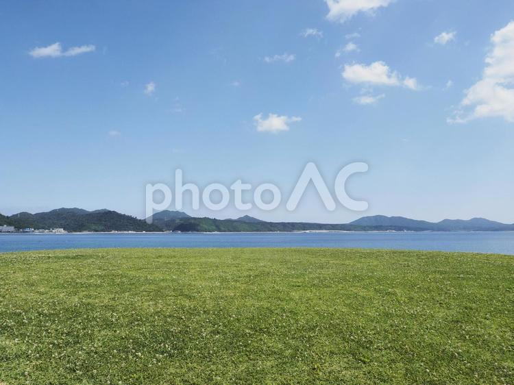 21世紀の森公園の緑地（沖縄県名護市）