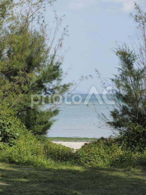 石川海岸の入り口（沖縄県うるま市）