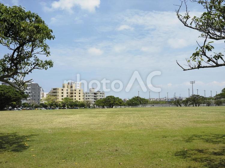 新都心公園の広場（沖縄県那覇市）