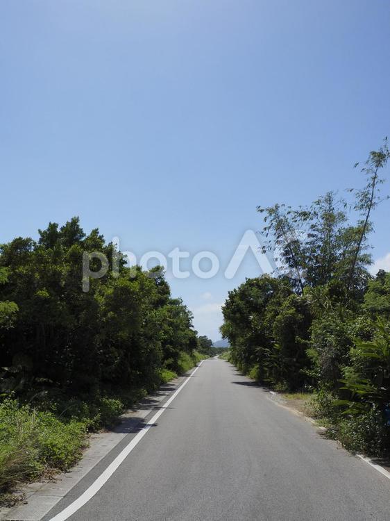 夏空とアスファルト道（沖縄県宜野座村）