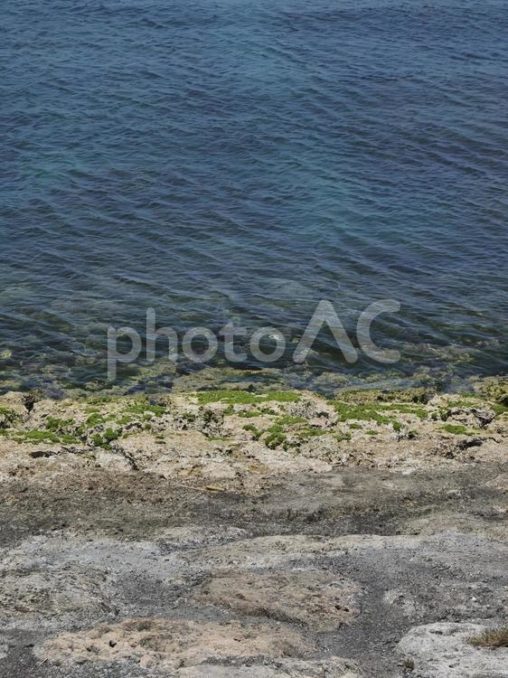 海岸（波の上うみそら公園、沖縄県那覇市）