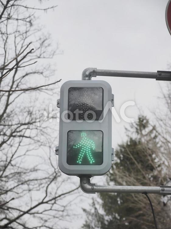 歩行者信号（青）（北海道札幌市）